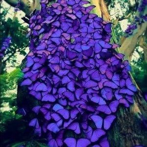 Meet your Posher, Carlos